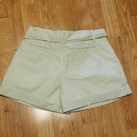 NWT Lauren James green stripe seersucker shorts M - Picture 5 of 5